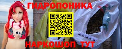 шишки Магадан