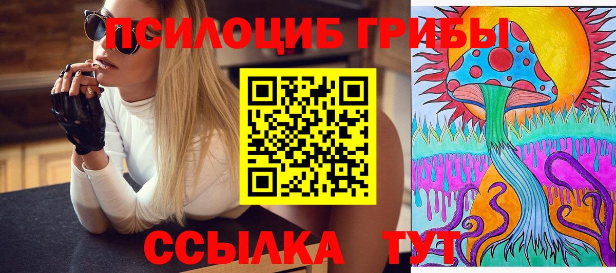 Галлюциногенные грибы Cubensis  где купить наркотик  Гулькевичи  Вход с VPN  Галлюциногенные грибы Cubensis 